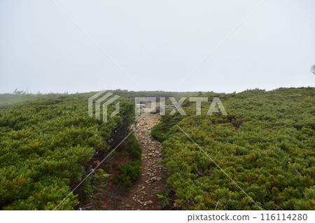 Azuma's mountain peak 116114280