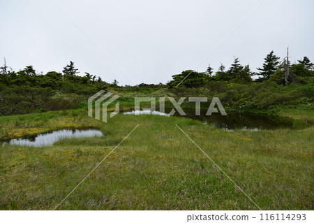 Azuma's mountain peak Azuma's mountain peak 116114293