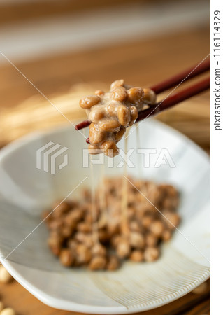 Natto 116114329