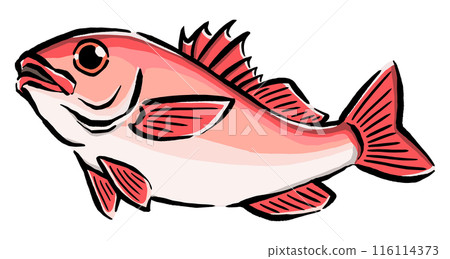 彈跳黑喉魚的插圖 116114373