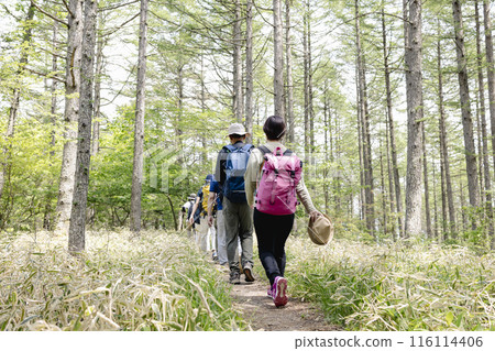Men and women enjoying hiking Men and women enjoying hiking 116114406