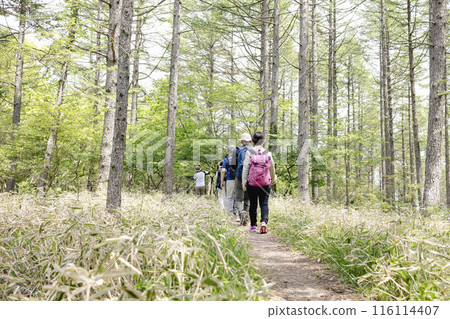 Men and women enjoying hiking 116114407