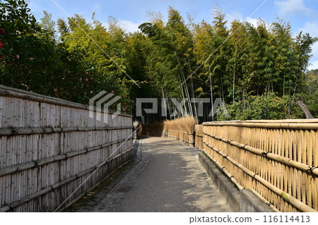 日本春天的京都,嵐山週邊的街道,旅遊勝地的竹林小路,竹籬笆林立的小路,充滿日本風情 日本春天的京都,嵐山週邊的街道,旅遊勝地的竹林小路,竹籬笆林立的小路,充滿日本風情 116114413