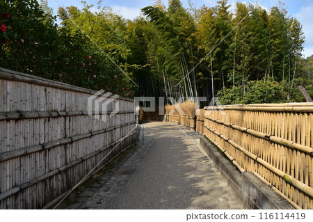 日本春天的京都,嵐山週邊的街道,旅遊勝地的竹林小路,竹籬笆林立的小路,充滿日本風情 日本春天的京都,嵐山週邊的街道,旅遊勝地的竹林小路,竹籬笆林立的小路,充滿日本風情 116114419