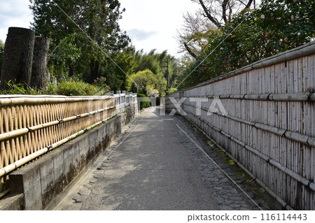 Kyoto in spring in Japan, the streets around Arashiyama, a bamboo forest path that is a tourist attraction, a path lined with bamboo fences that gives you a Japanese feel 116114443