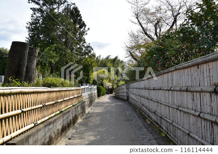 Kyoto in spring in Japan, the streets around Arashiyama, a bamboo forest path that is a tourist attraction, a path lined with bamboo fences that gives you a Japanese feel 116114444