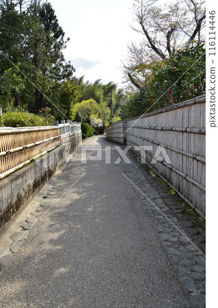 Kyoto in spring in Japan, the streets around Arashiyama, a bamboo forest path that is a tourist attraction, a path lined with bamboo fences that gives you a Japanese feel Kyoto in spring in Japan, the streets around Arashiyama, a bamboo forest path that is a tourist attraction, a path lined with bamboo fences that gives you a Japanese feel 116114446