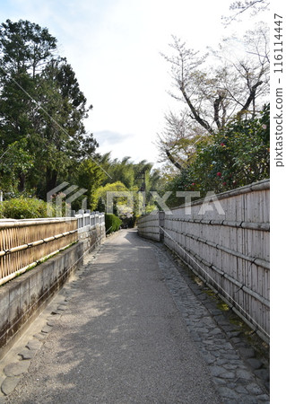 Kyoto in spring in Japan, the streets around Arashiyama, a bamboo forest path that is a tourist attraction, a path lined with bamboo fences that gives you a Japanese feel Kyoto in spring in Japan, the streets around Arashiyama, a bamboo forest path that is a tourist attraction, a path lined with bamboo fences that gives you a Japanese feel 116114447