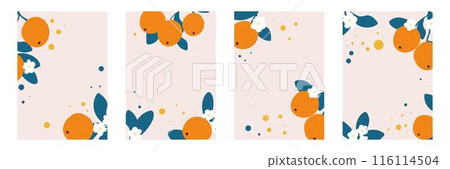 Tangerines fruits, foliage and flowers backgrounds set 116114504