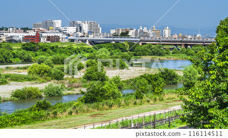 鬱鬱蔥蔥的多摩川、穿越多摩川的東急線二子新地站週邊的城市景觀[神奈川縣川崎市 - 東京都世田谷區] 116114511