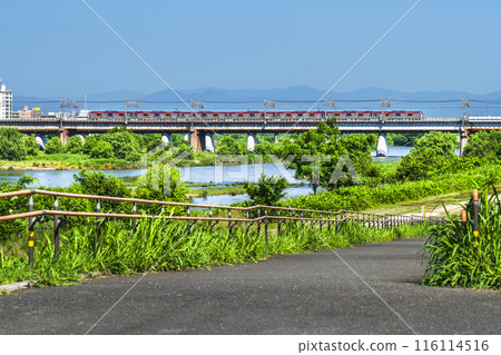 穿越多摩川的東急電車和多摩川河床的風景【東京都世田谷區～神奈川縣川崎市】 116114516