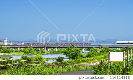 穿越多摩川的東急電車和多摩川河床的風景【東京都世田谷區～神奈川縣川崎市】 116114518