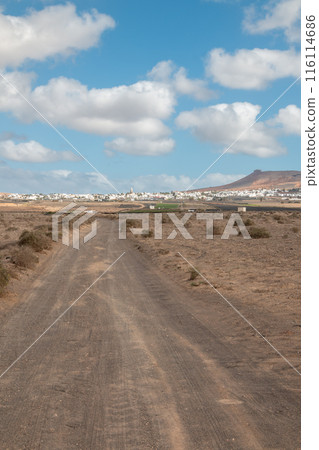 Lanscape and town Teguise, Lanzarote, Spain 116114686