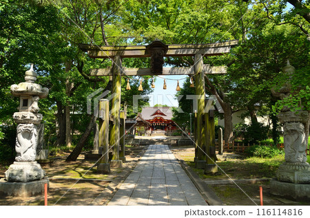 千葉縣市原市八幡的能量景點飯岡八幡宮 116114816