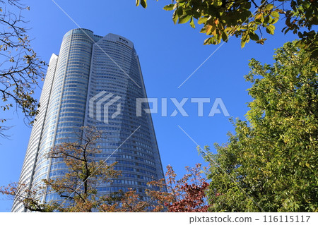 六本木新城大廈風景 116115117