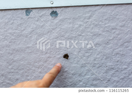 Veranda Repair Before Repair 116115265