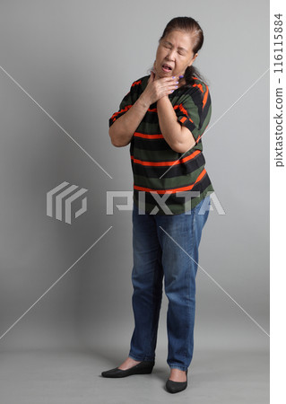 Senior Asian Woman Senior Asian Woman 116115884