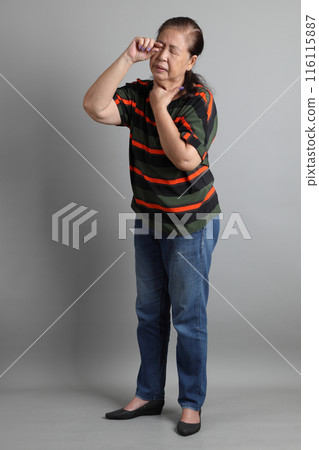 Senior Asian Woman Senior Asian Woman 116115887
