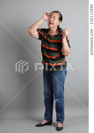 Senior Asian Woman Senior Asian Woman 116115890