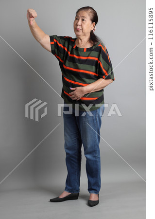 Senior Asian Woman Senior Asian Woman 116115895