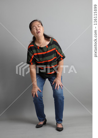 Senior Asian Woman Senior Asian Woman 116115899