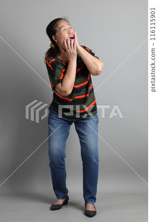 Senior Asian Woman Senior Asian Woman 116115901