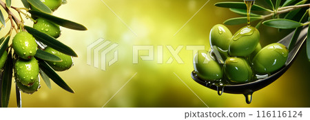 Branch of olive fruit Branch of olive fruit 116116124