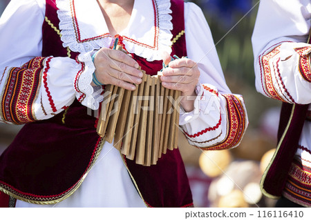 A musician in an embroidered shirt plays a ratchet on an ethnic musical instrument. A musician in an embroidered shirt plays a ratchet on an ethnic musical instrument. 116116410