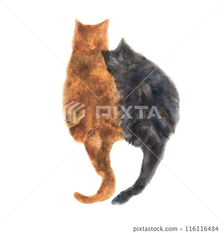 Watercolor illustration depicting two cuddling fluffy cats, rear view. Cute loving pets. Clipart on a white background. Postcard, invitation, greeting, print on clothes. Watercolor illustration depicting two cuddling fluffy cats, rear view. Cute loving pets. Clipart on a white background. Postcard, invitation, greeting, print on clothes. 116116484