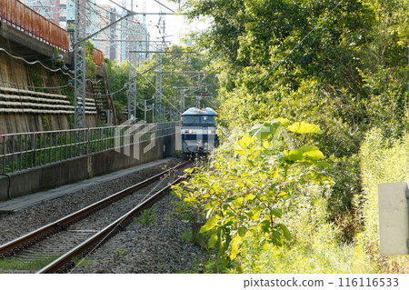 EF-210,運行於東海道本線貨運支線高島線的單列機車 EF-210,運行於東海道本線貨運支線高島線的單列機車 116116533