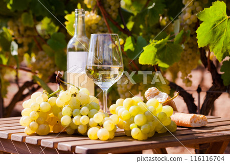 Glass of White wine grapes and bread on table in field 116116704
