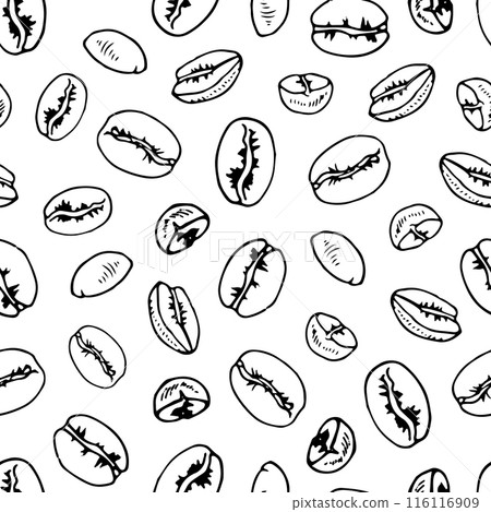Coffee Bean seamless Pattern. Vector hand drawn outline illustration. Grains sketch drawing. Black and white line art. Vintage print for food packaging or fabrics and wrapping paper Coffee Bean seamless Pattern. Vector hand drawn outline illustration. Grains sketch drawing. Black and white line art. Vintage print for food packaging or fabrics and wrapping paper 116116909