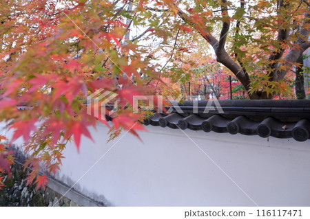 在秋葉期間的寺廟 在秋葉期間的寺廟 116117471