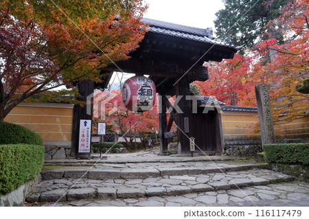Temple during autumn leaves 116117479