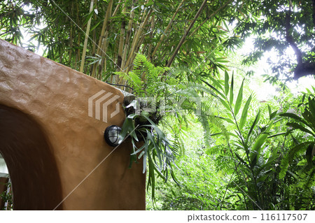 A coffee shop terrace with tables and chairs 116117507
