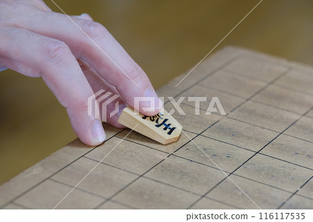 The way shogi pieces are arranged The way shogi pieces are arranged 116117535