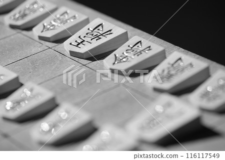 下劃線排列的將棋棋子的黑白影像 116117549