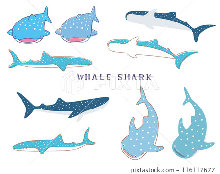 Whale shark illustration set 116117677