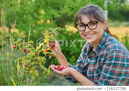 Smiling woman in garden with ripe raspberries near bush Smiling woman in garden with ripe raspberries near bush 116117786