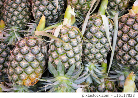 Pile of pineapple for sale in the market 116117828