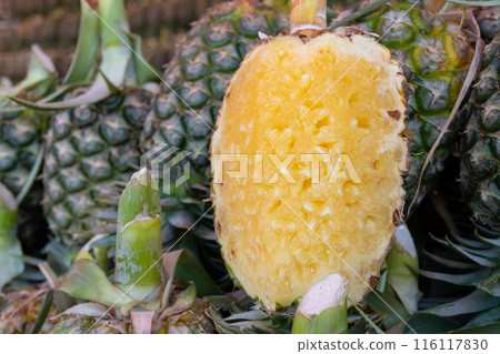 half of pineapple on pile pineapple 116117830