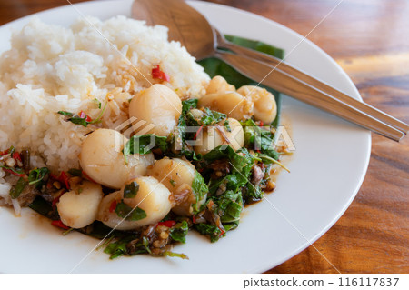 Stir Fry Scallops with Holy Basil and Cooked Rice, Thai Food Stir Fry Scallops with Holy Basil and Cooked Rice, Thai Food 116117837