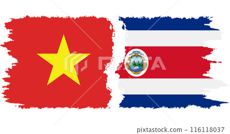Costa Rica and Vietnam grunge flags connection vector 116118037