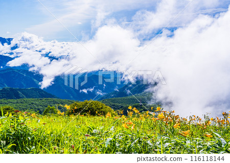 [栃木縣] 小丸山展望台附近的日光/霧降高原風景 116118144