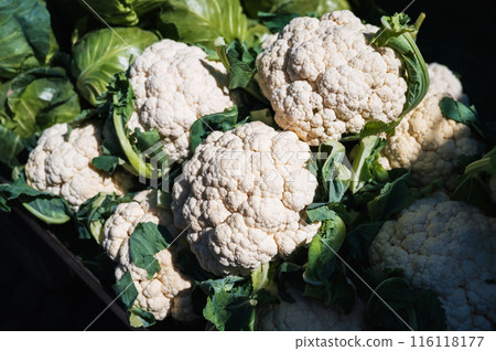 harvest of fresh cauliflower on the counter at farmers market 116118177