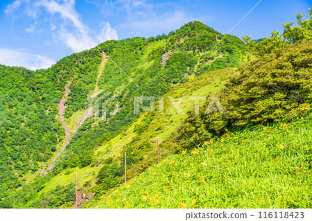 [栃木縣] 從日光市霧降高原小丸山展望台眺望赤名山 116118423