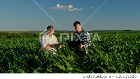 Father and son farmers standing in a beautiful cornfield, working with a laptop and tablet. Integrating technology in their family farm Father and son farmers standing in a beautiful cornfield, working with a laptop and tablet. Integrating technology in their family farm 116118526