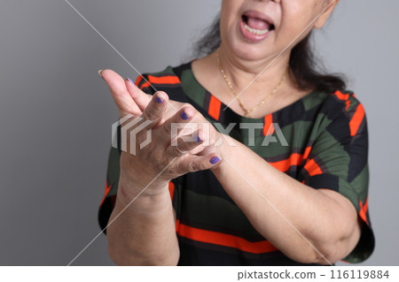 Senior Asian Woman 116119884