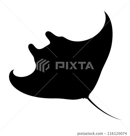 Manta ray illustration_Manta ray_Silhouette Manta ray illustration_Manta ray_Silhouette 116120074