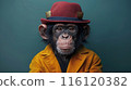 Chimpanzee Wearing a Red Hat and Yellow Jacket Against a Teal Background 116120382
